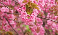 世界登山青年论坛：环保与技能培训并重，登山环保公益活动