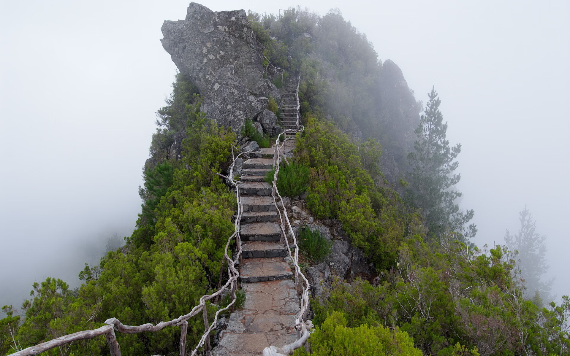 世界登山青年导师长期追踪研究第三期论文征稿启事,世界登山第一人是谁